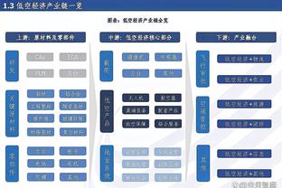 英媒：球迷冲入球场抗议中资老板，雷丁与维尔港的英甲被取消